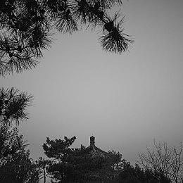 日式校园恐怖游戏《灵忆校祭》10月26日发售